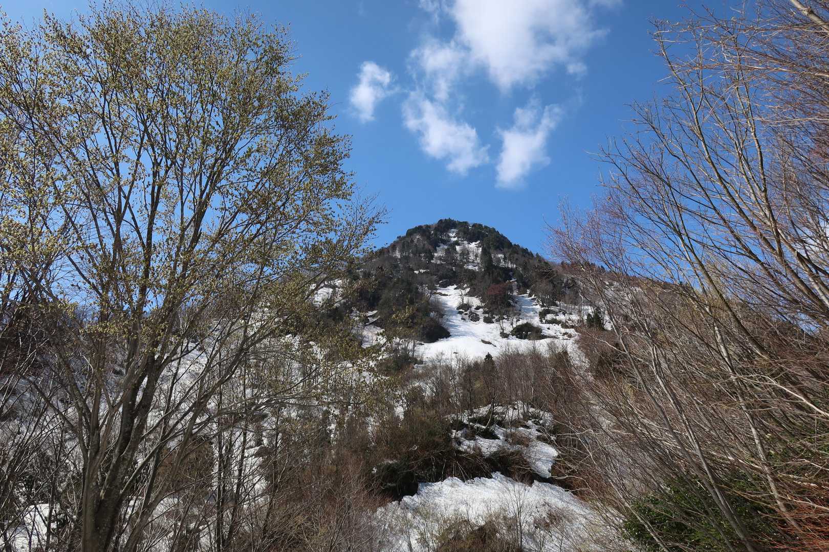 そして明星山目指して林道から登山道へ
といっても登山道は雪に覆われていてﾄﾚｰｽも無いので、適当に歩き易そうな所を登って行きます