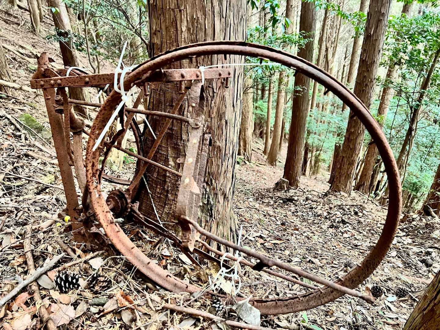 後はお決まり自転車コース〜