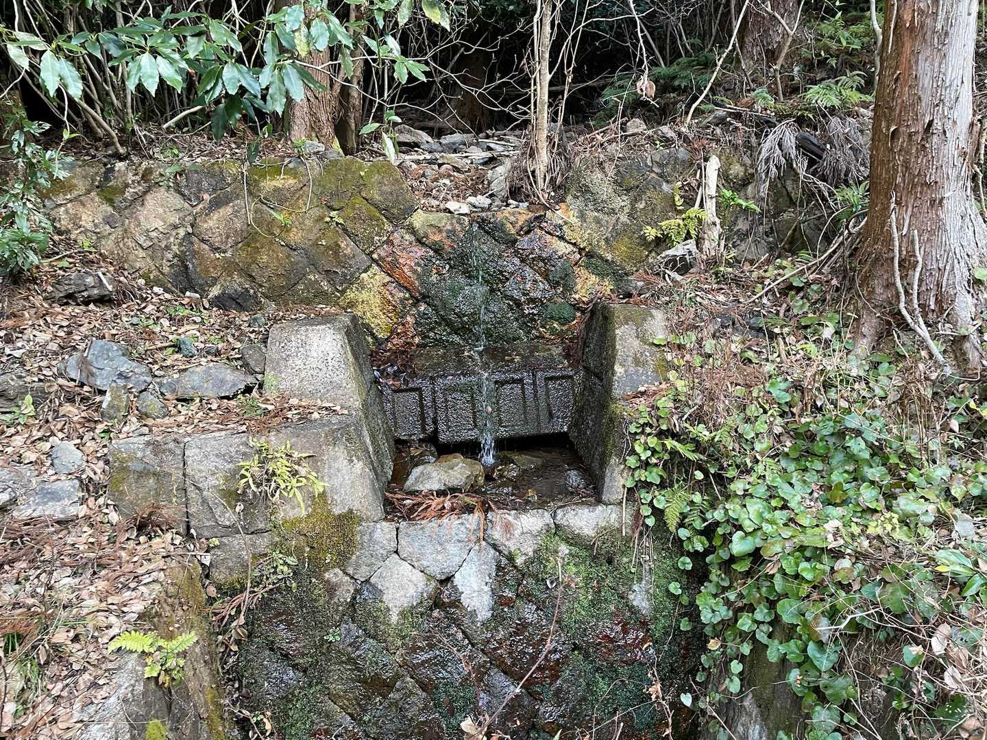 坊ヶ峰-本坂峠 縦走コースの写真