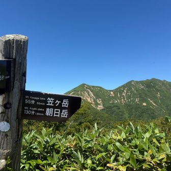 この先の景色も見たくなる稜線