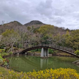 二上山と間違えそぅやけど右は鳶塚やな😅