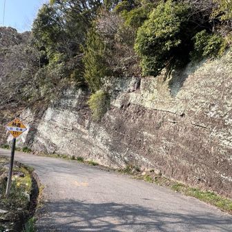 戸面原ダムバス停でバス時刻を確認して、林道田取線へ。
地層の縞模様がすごい。
これだけで天然記念物じゃないのか？