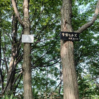 常磐ヒルズ？🤔
あれっ常盤じゃないのか

ここまでは大したことない