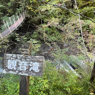 観音滝のもみじ橋