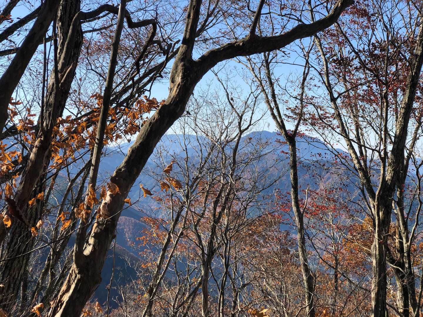 振り返ると南木曽岳と恵那山