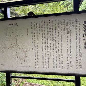 ふむふむ。よくわからんけど、歴史があるんやな。
そのうち歴女に教えてもらおう(基本、他力本願)