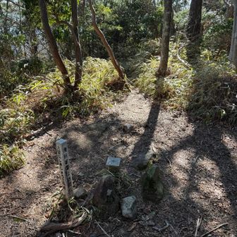 ピストンで！帰る！