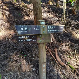 奥の院を経る路は上級者向けと書いてあるので行った事がないです。どんな処なのか気になる。