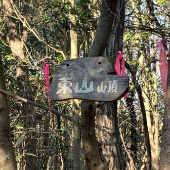 東山⛰️  （西山より西にありますけど）