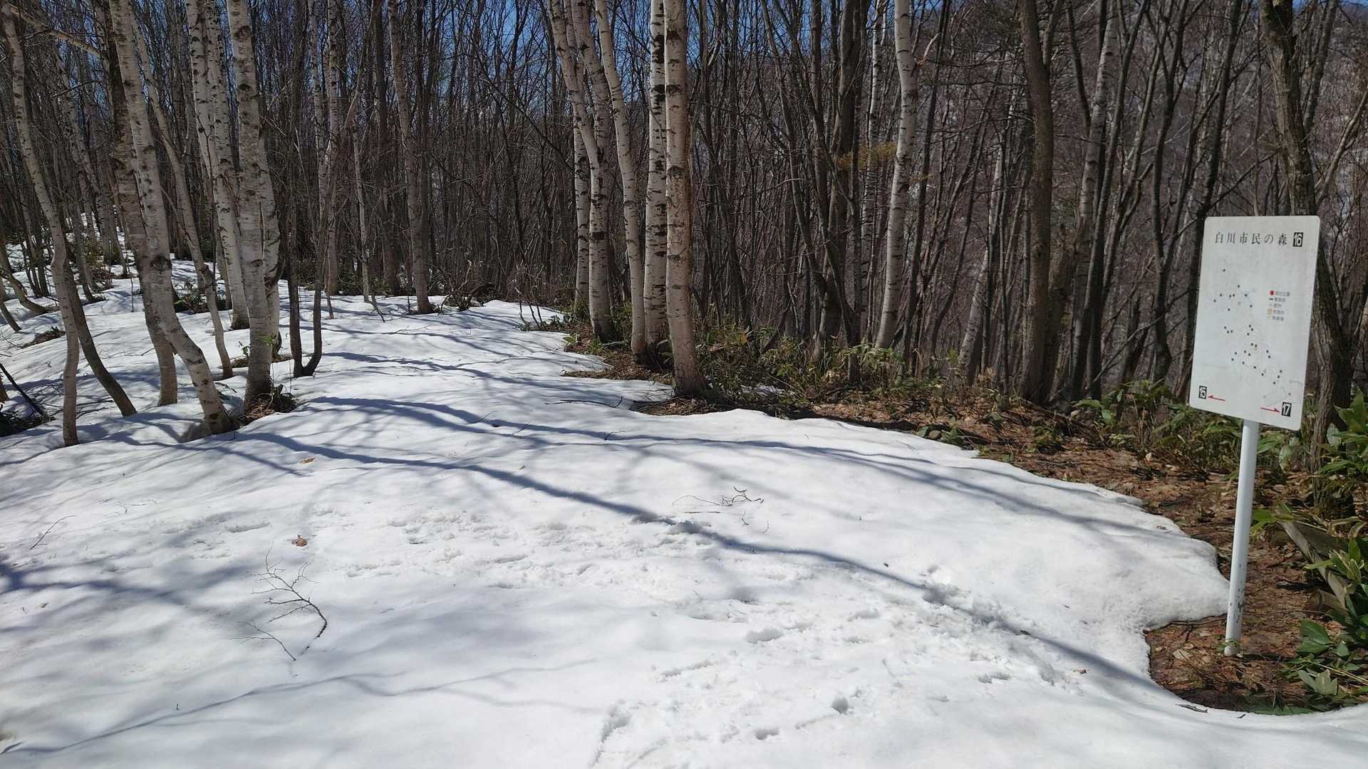 帰り道は雪道が長くて安心でした！
だって、すぐ⚫️に気付くもの😙