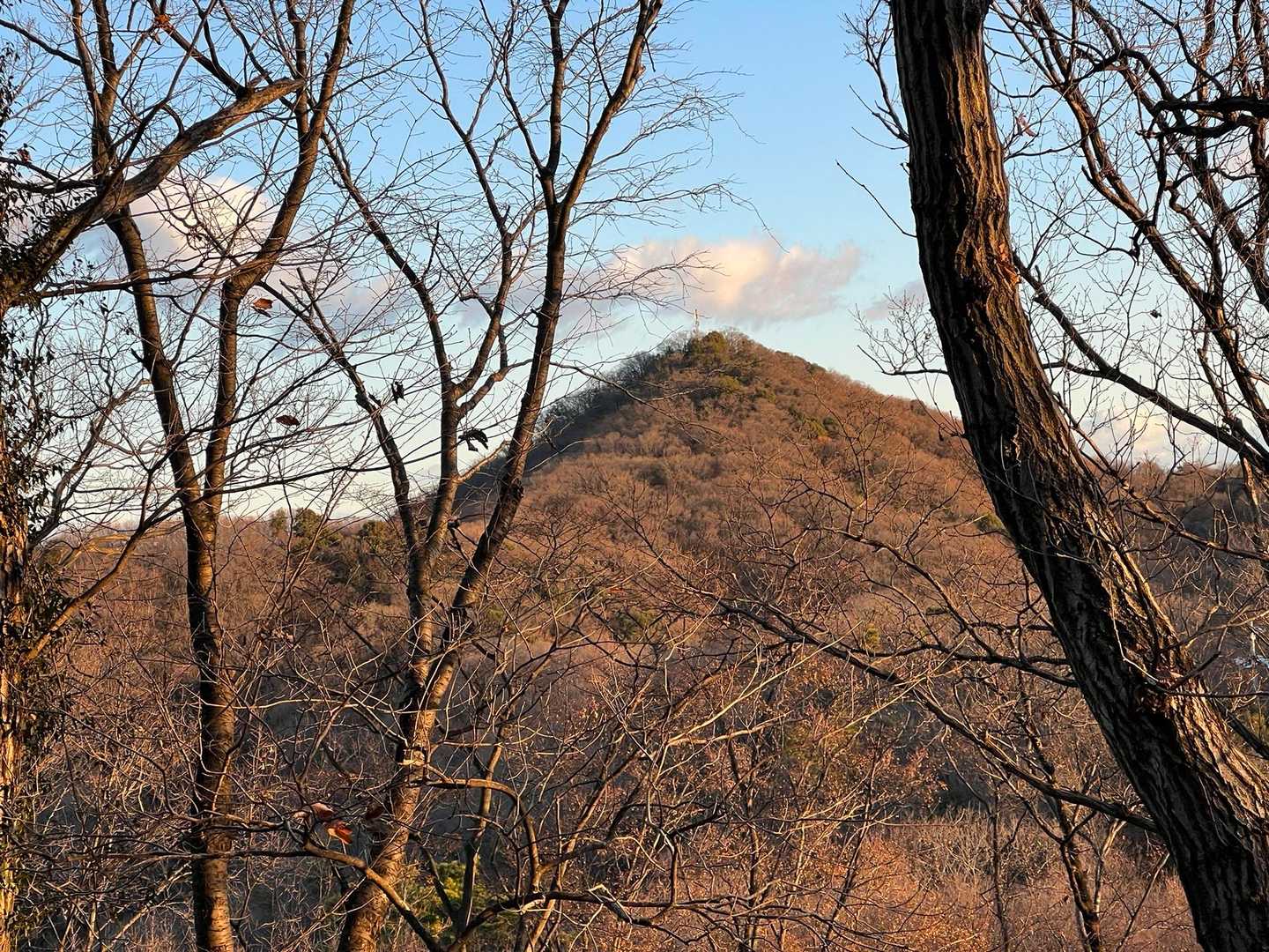 階段を降りる途中から青竜ヶ岳