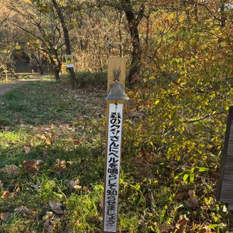 結構いい音鳴りました🔔
ビジターセンターには10/17あたりの日付で親子グマの目撃情報が記載されてたのでちょっと怖かったです🐻