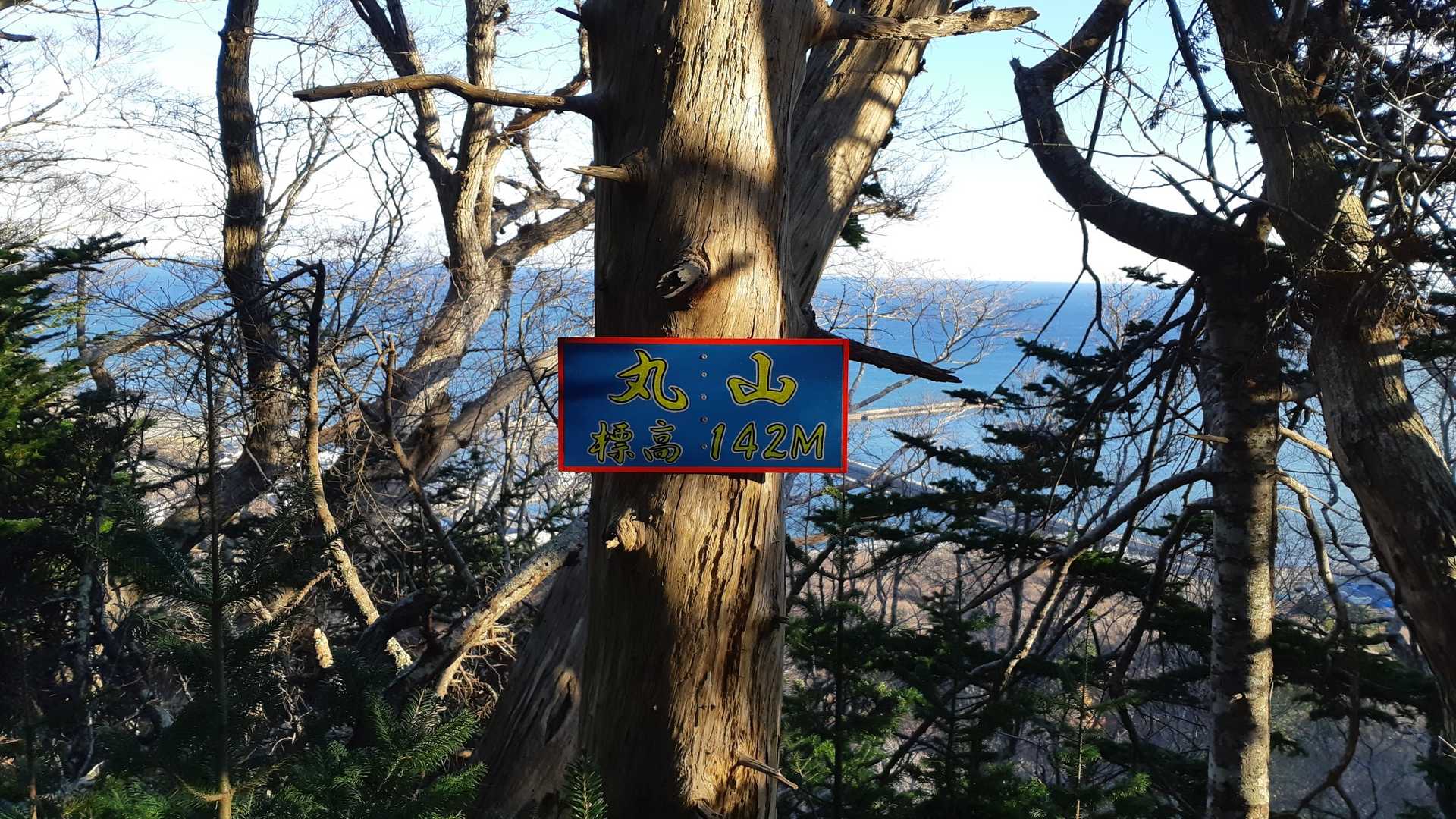登山道あるの？
丸山ピーク