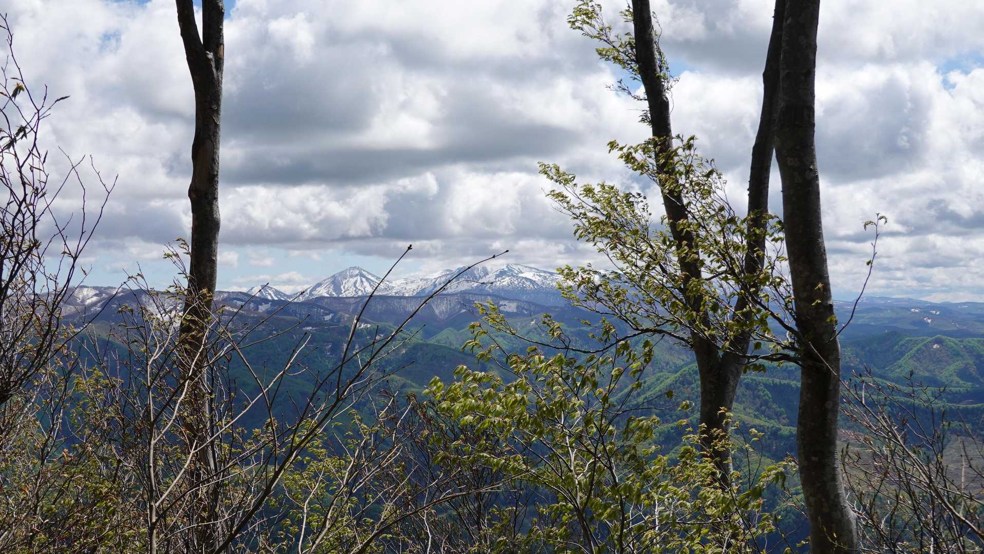 ビューポイントから望む八甲田山
