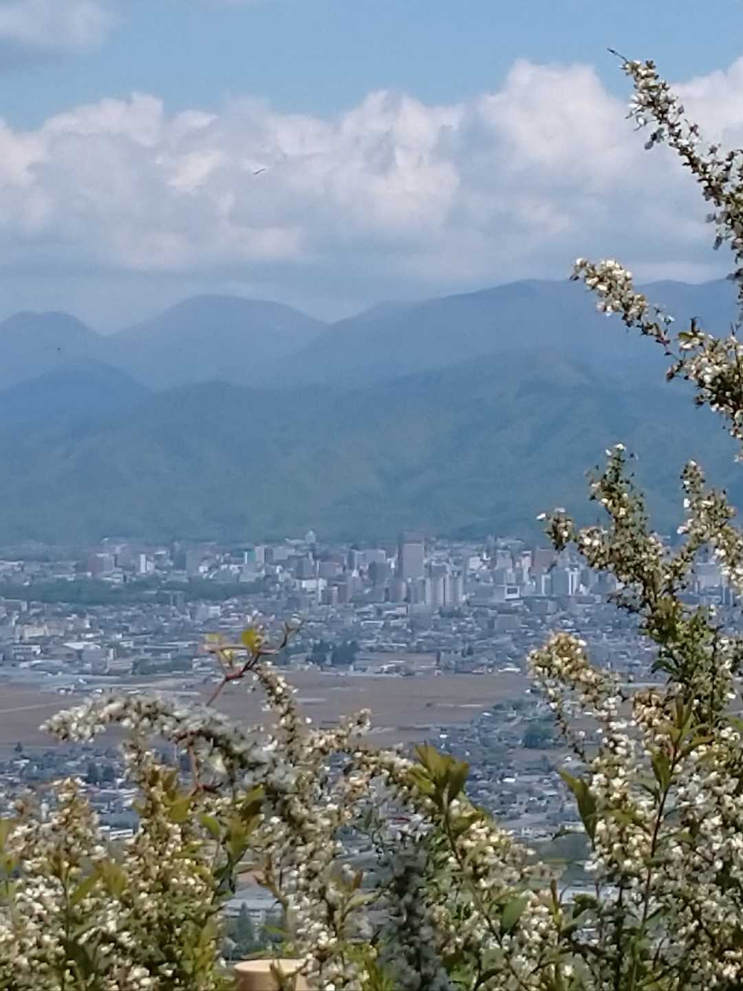 富神山 往復コースの写真