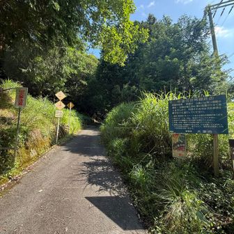 林道終点。国道まで出てきました✨
国道を渡って自然歩道で平バス停へ戻っていきます