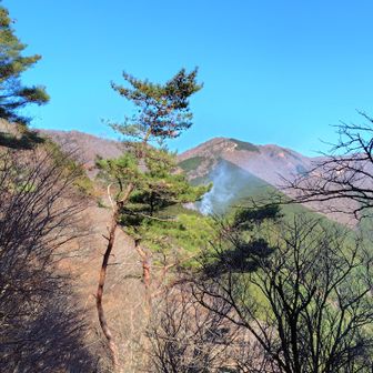 遠目から火災の確認が取れます