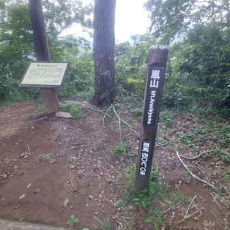 嵐山は結構なアップダウンがあり、この日は無風で蒸し風呂状態だった。