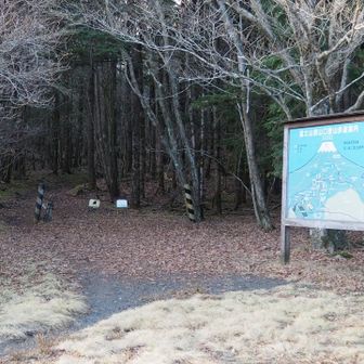 ありがとうございました