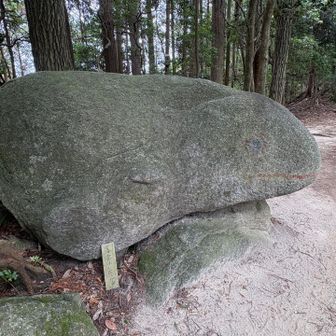 猿投山のアイコン　カエル石