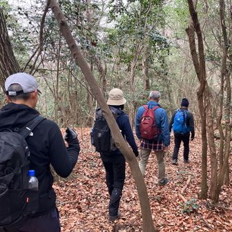 迷いピークを抜けて..
