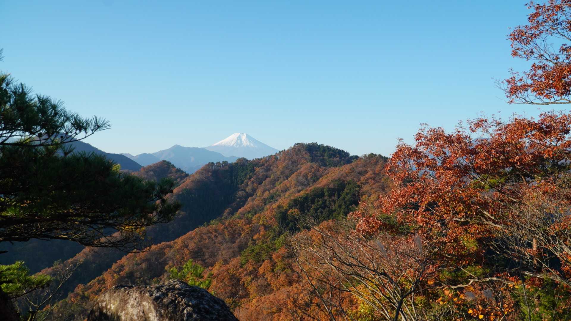 素晴らしい