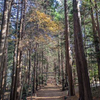 参道を通り駐車場🅿️へ