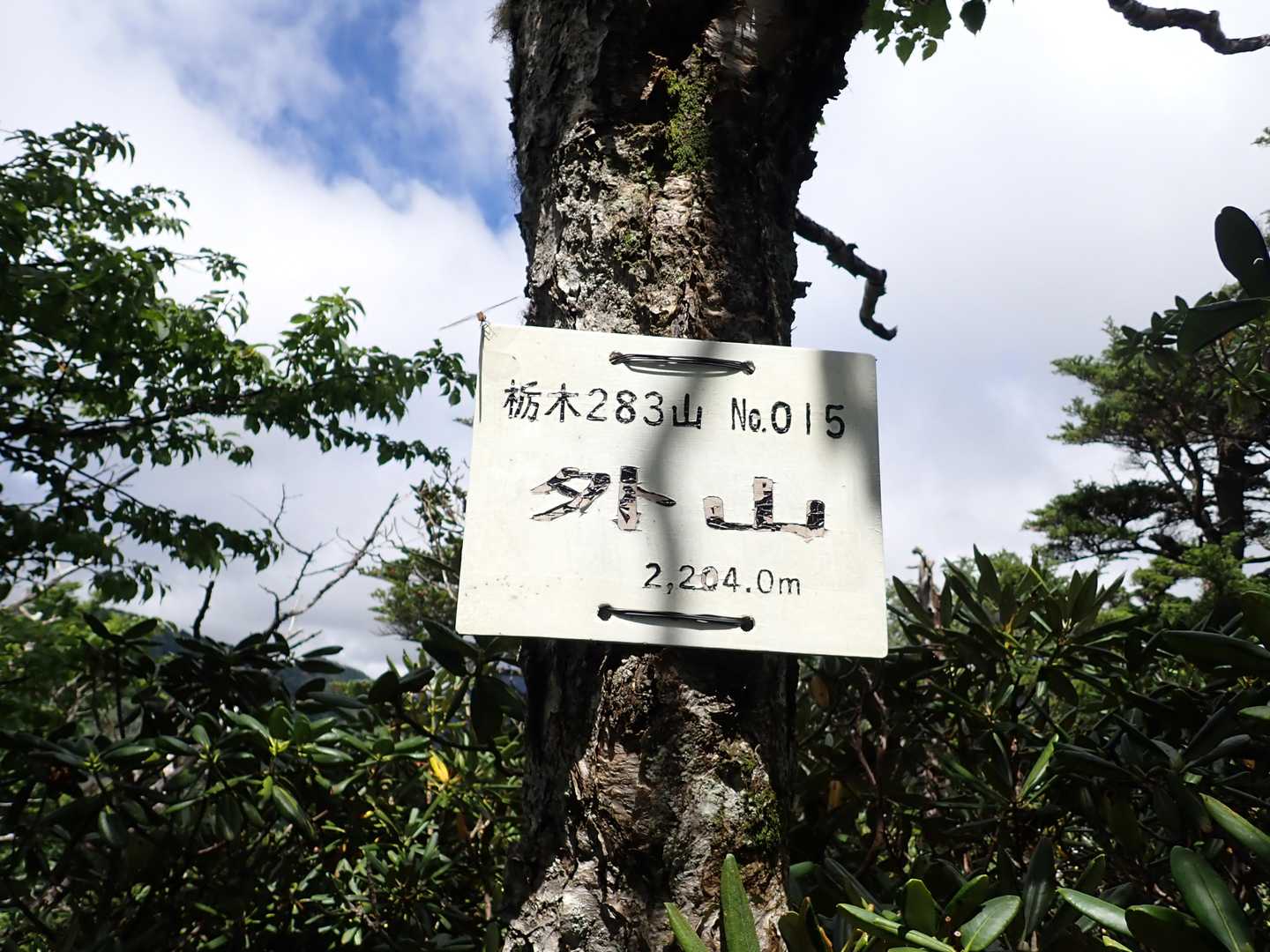 強行突破し板発見。湖上山方面に踏み跡あり。