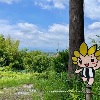 座間市マスコットキャラクターのざまりん🌻

頭はひまわりの花びら、体はひまわりの種、ひまわり畑で生まれた妖精ちゃん
ぽっこりお腹には夢と希望の種がいーっぱい詰まってる♡
お腹はぽっこりでも以外と動けるのが自慢だよ〜(座間市HPより)

ワタクシもお腹ぽっこりで以外と動けるのが自慢だよ〜ん😙
