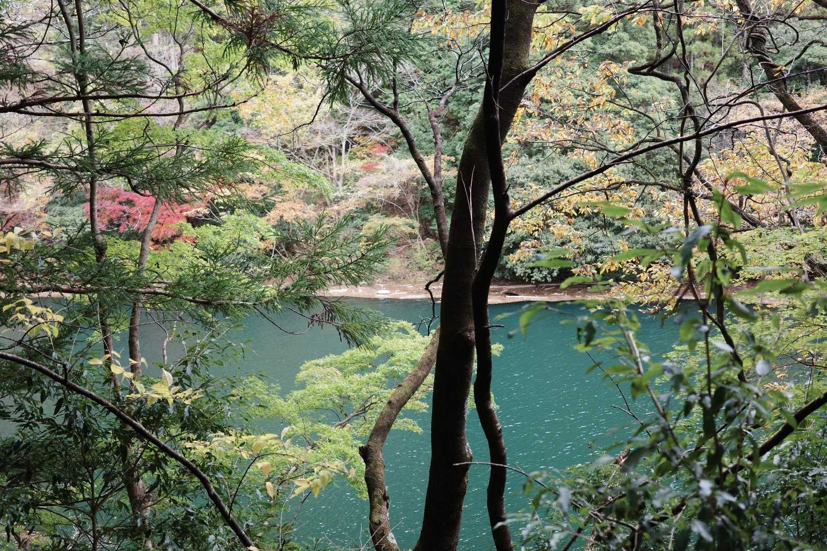 【フラット登山】大多摩ウォーキングトレイル　渓谷美と焚き火を楽しむの写真