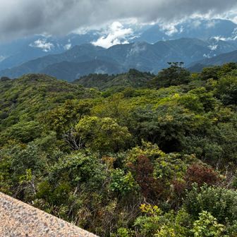 遠くの景色は見えない

冬場はこの下から左の尾根に続くバリエーションコースが最高に素晴らしい