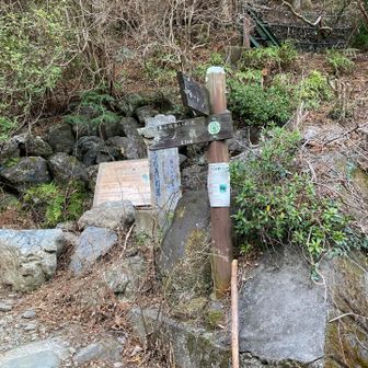 ここから登山口