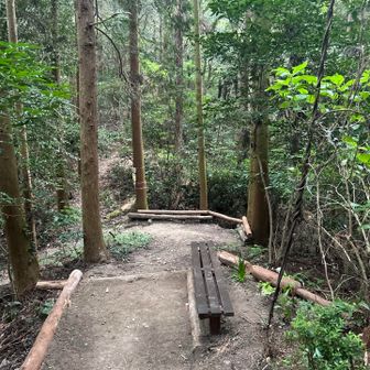 ‥3番ベンチ休憩所・彼岸花球根植える🌸