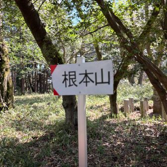 １座目　根本山