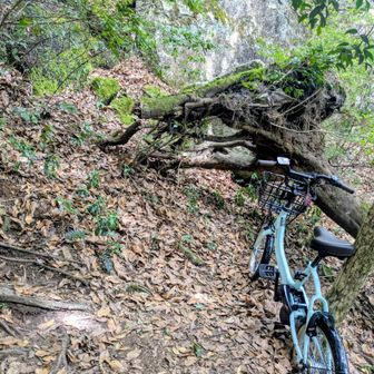 とりあえず未だ未踏の猟師岩山へ。前来た時も別の場所にあった自転車。一体誰がこんなとこまでｗ
