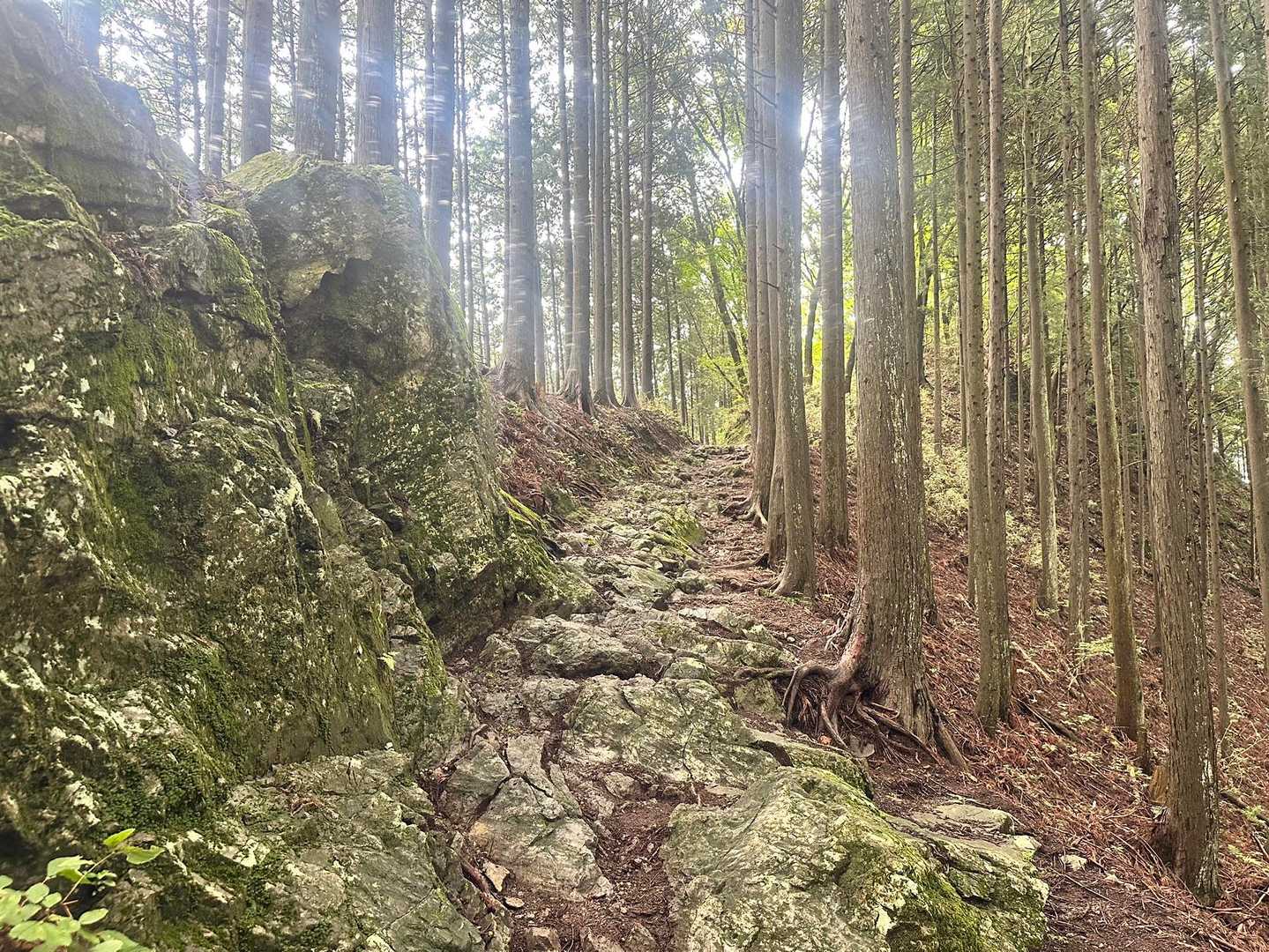 日の出山に向かいます