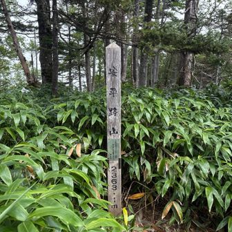 安平路山到着