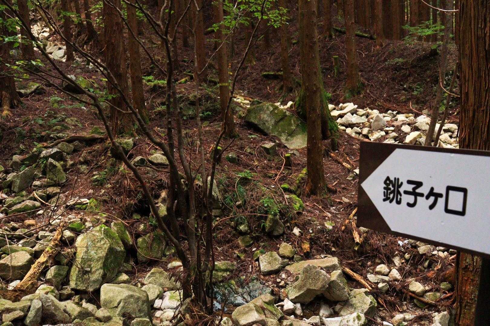 銚子ヶ口登山口-銚子ヶ口 往復コースの写真
