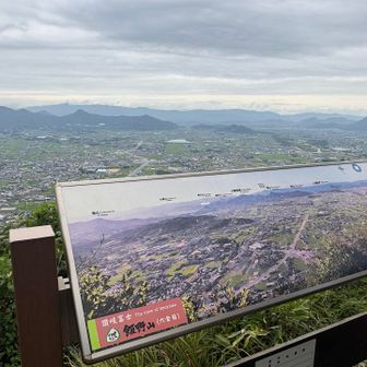 讃岐平野