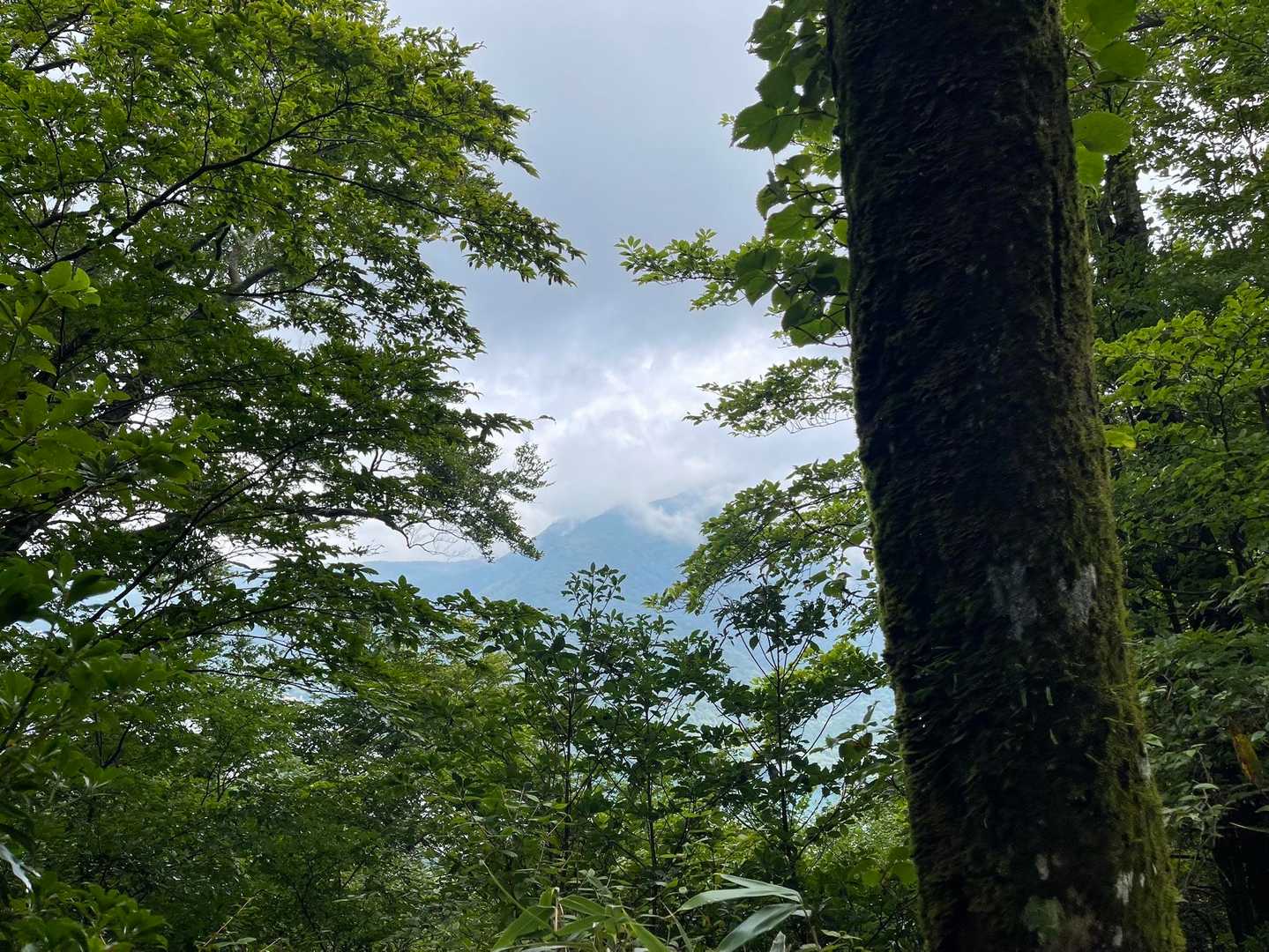 湖尻峠-三国山 往復コースの写真