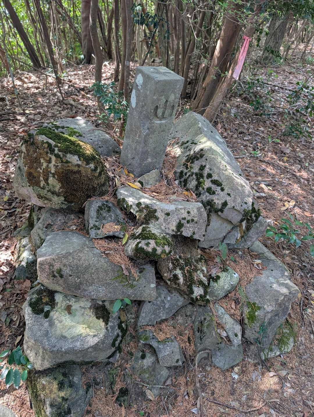 古城跡妙見山登山口-妙見山-谷山-石山-鬼落山-石山登山口 周回コースの写真