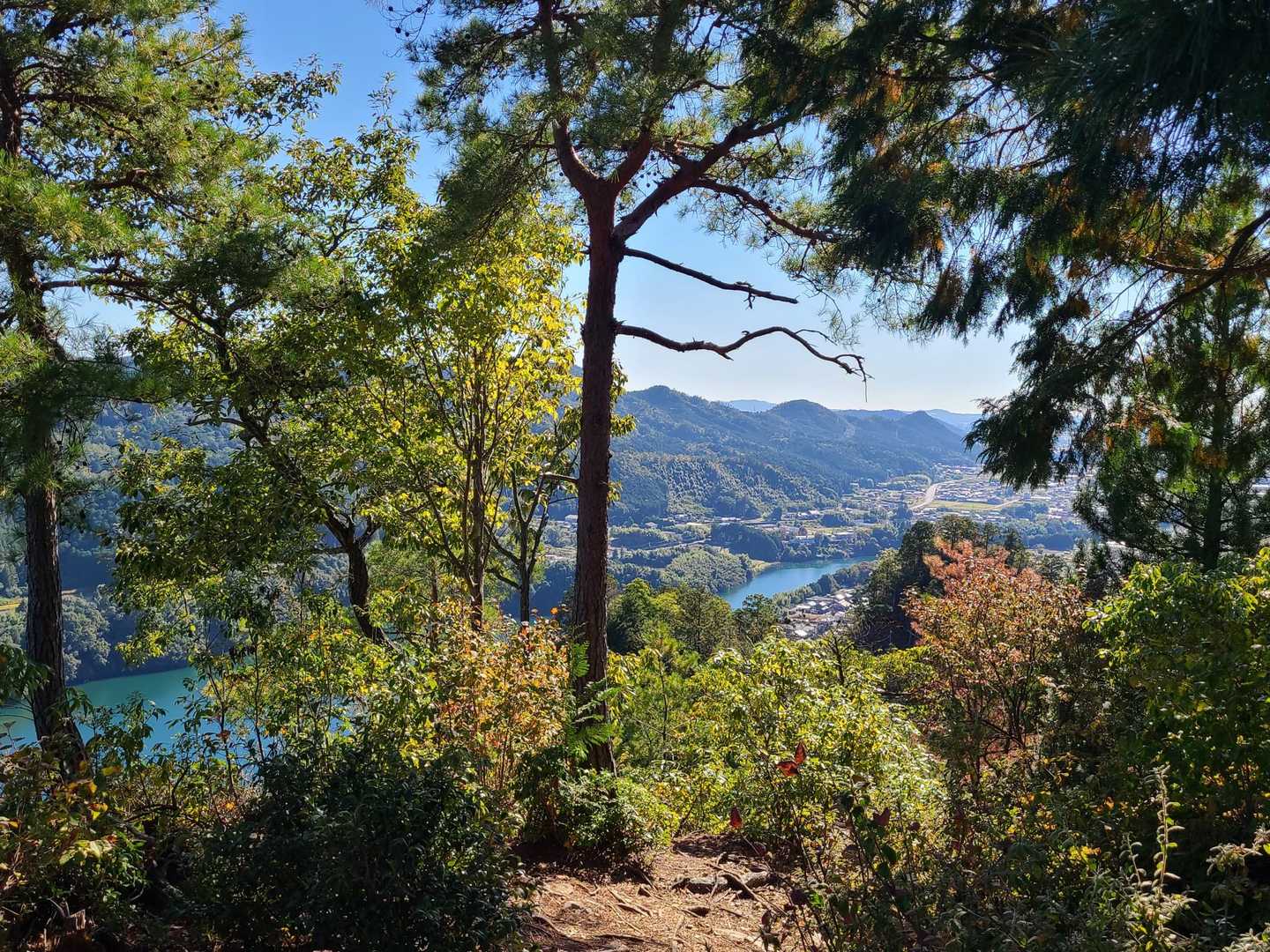 遠見山往復｜岐阜のグランドキャニオンを見下ろす展望台の写真