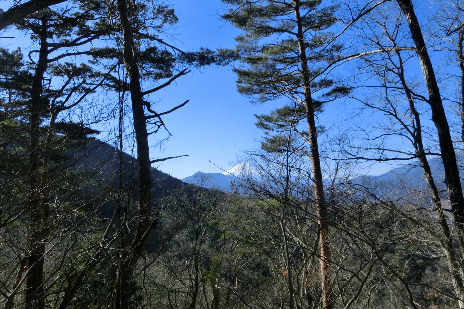 大月駅-菊花山登山口-菊花山-馬立山-札金峠-紺屋の休場- 縦走コースの写真