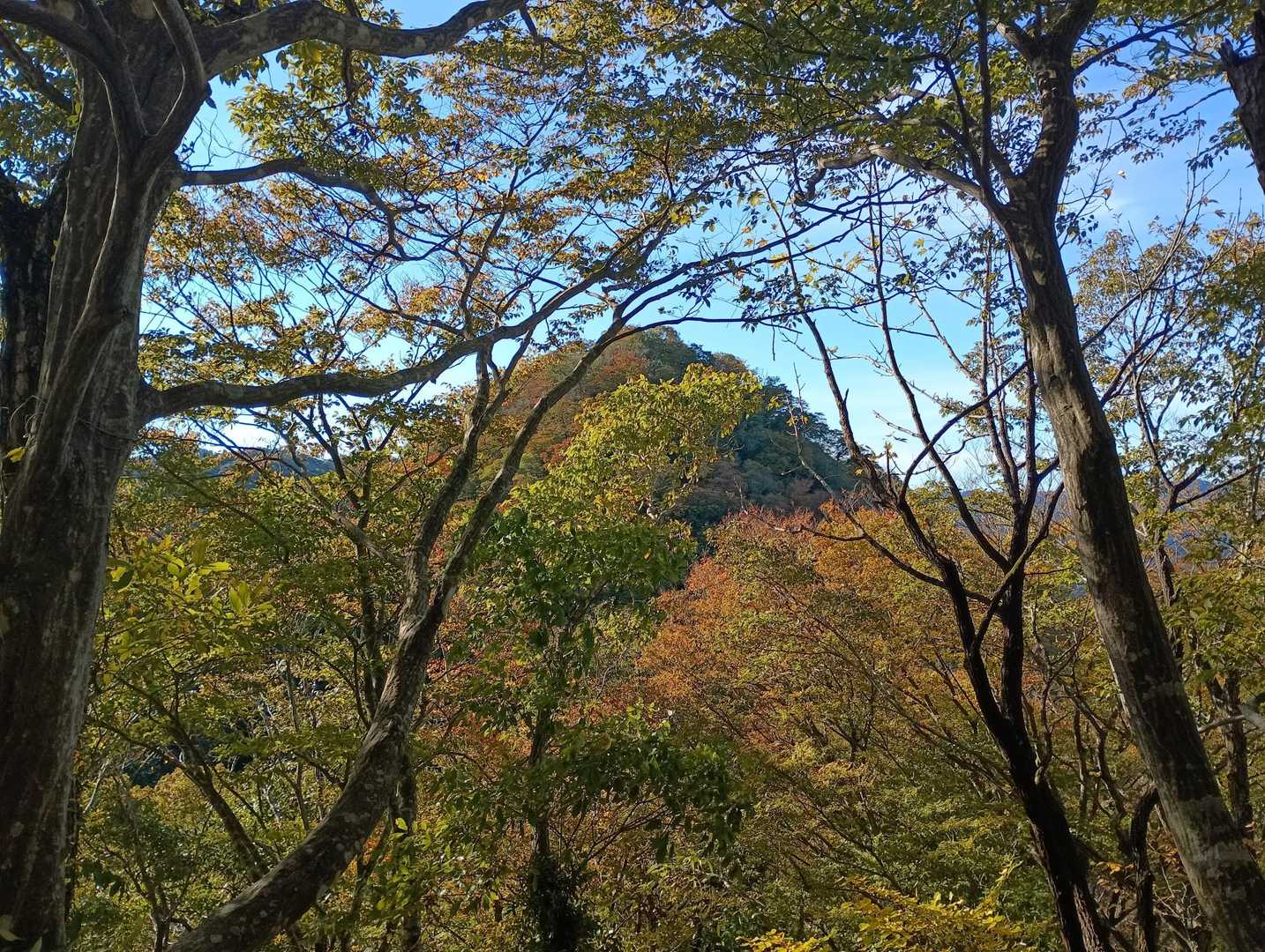 月居山見えた、キレイ