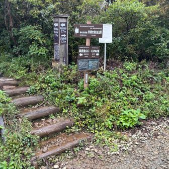 なんとかかんとか泥濘にたまにはまりかけながらも、ドロドにはならずに砂利道まで降りることができました👏　

ここからは奥岳までこの道を使います。
