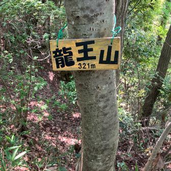 竜王山⛰️山頂