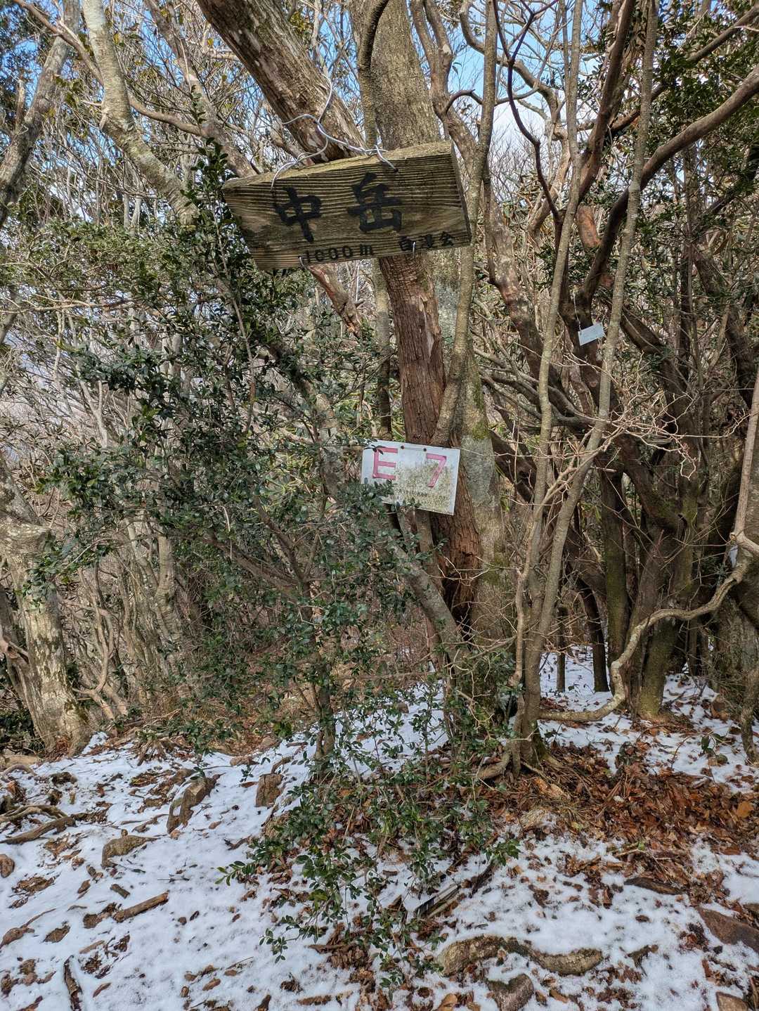中岳⛰️1000メートル