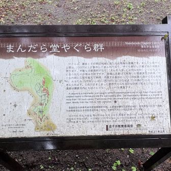 まんだら堂やぐら群
Mandarado yagura Caves

やぐらは、鎌倉とその周辺地域に見られる特殊な遺構です。まんだら堂やがら群は、150穴以上が集中して造られており、やぐら群として最級の規模を誇ります。明確な文献資料がなく「まんだら堂」とは何なのが、いつどのよう・に造られたのか等は不詳ですが、警備に先駆けて実施した発掘調春の結果、内部に石塔を据えて納骨：供養する施設として13世紀後半頃から造られ始め、おおむね15世紀いっぱい（部分的には16世紀まで）供養が行われていたと考えられます。これだけまとまった数のやぐらを息好な状態で見ることのできる遺跡は鎌倉市内にもほとんどなく、たいへん貴重です。