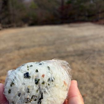 母が握ってくれたおにぎりで栄養補給
うますぎた