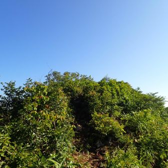 稜線に出ました。
両脇はキレキレです。